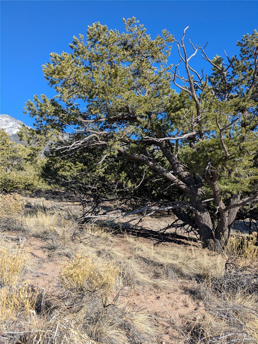 1393 Spanish Ruins Crestone CO 81131