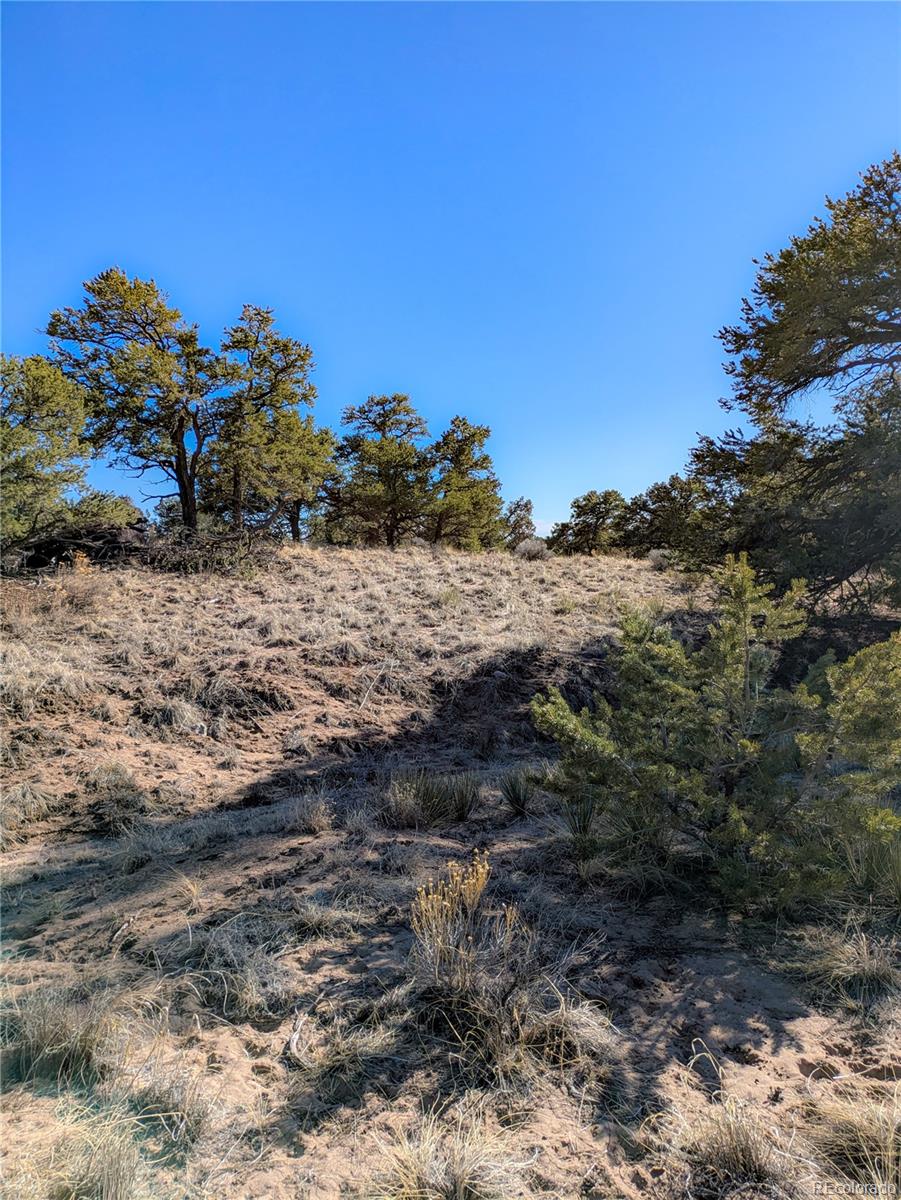 1393 Spanish Ruins Crestone CO 81131