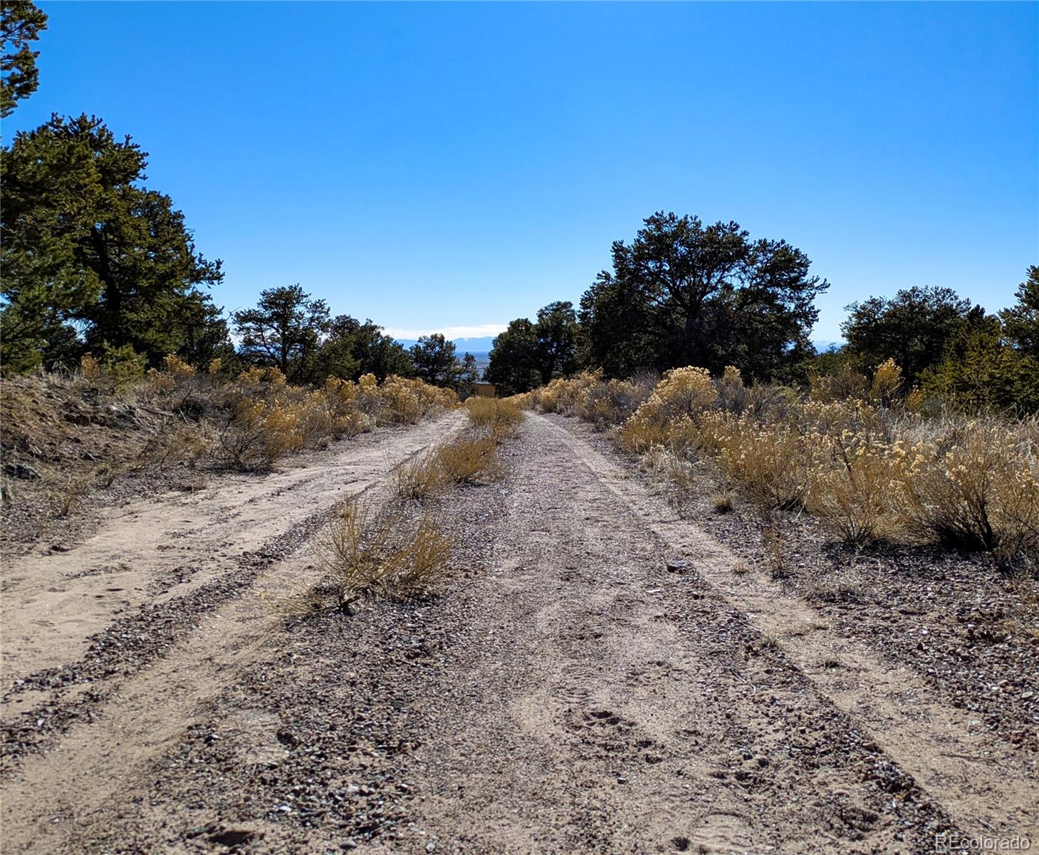 1393 Spanish Ruins Crestone CO 81131