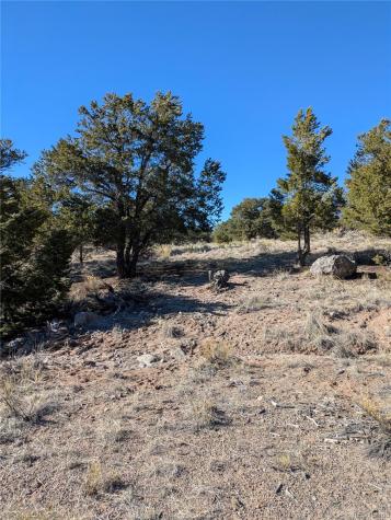 1393 Spanish Ruins Crestone CO 81131