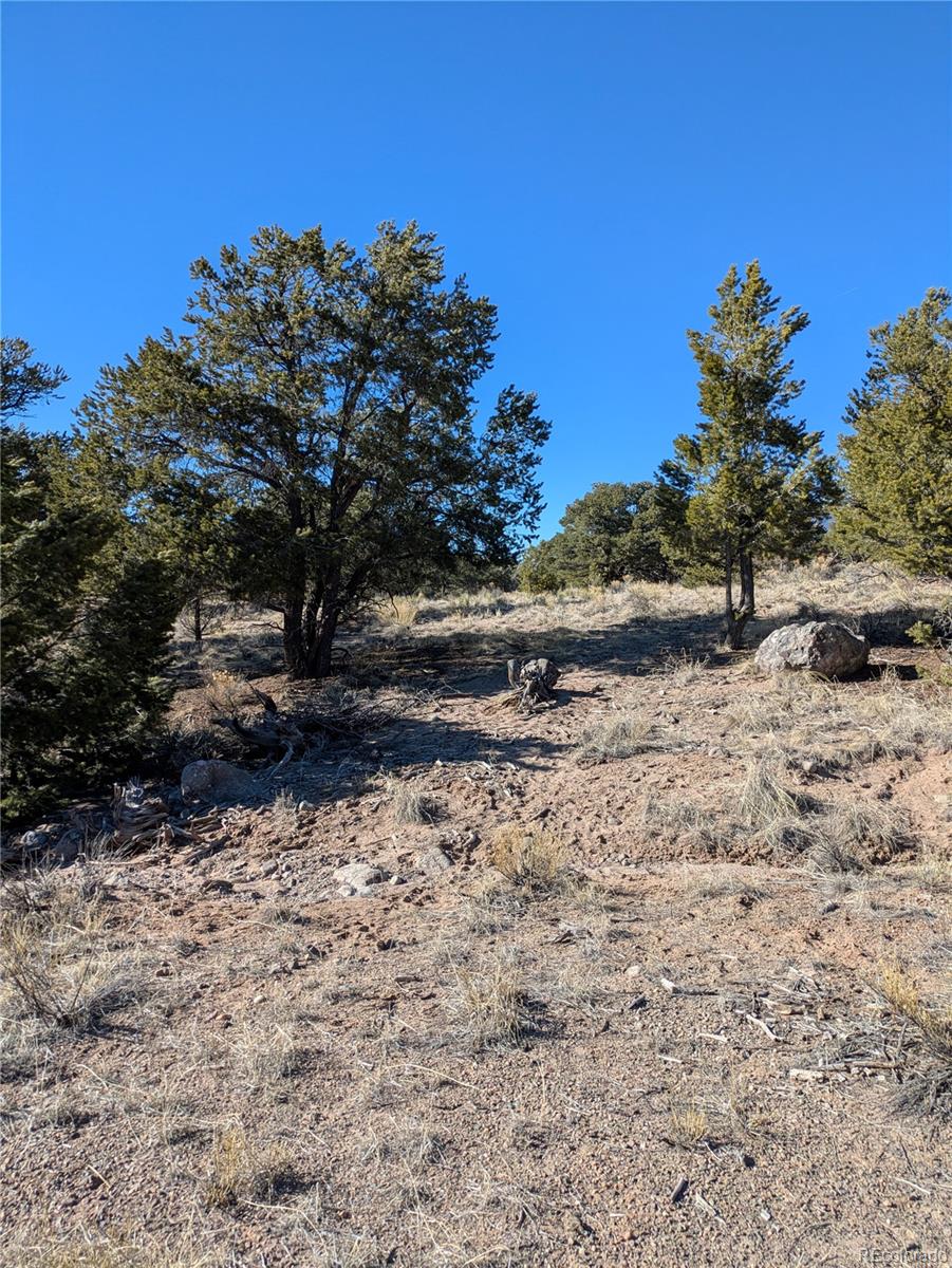 1393 Spanish Ruins Crestone CO 81131