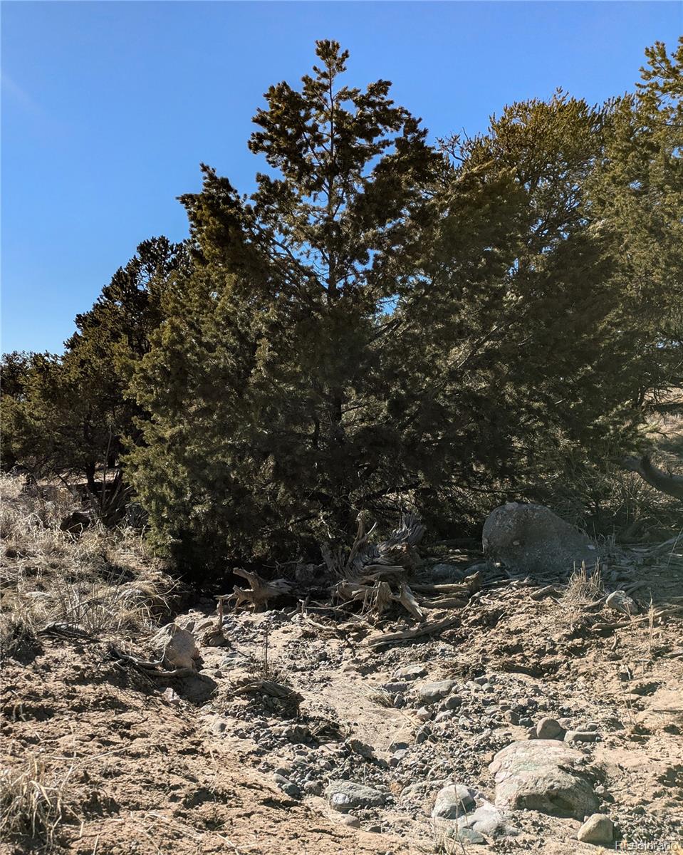 1393 Spanish Ruins Crestone CO 81131
