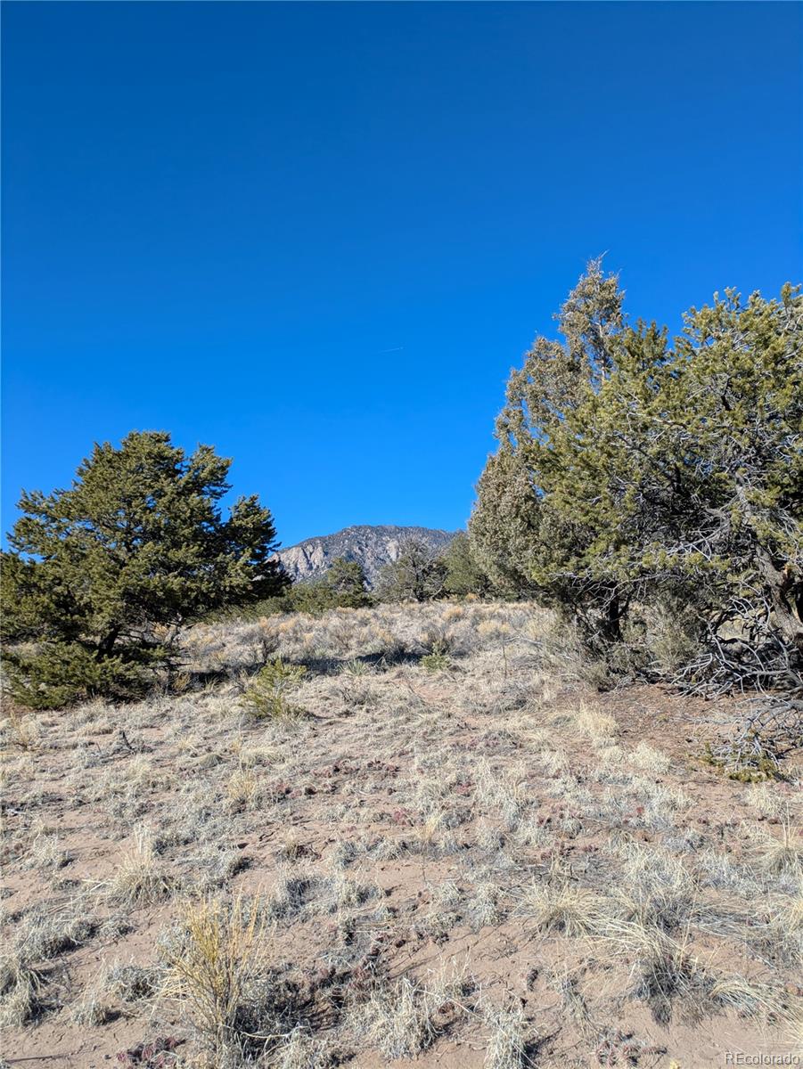 1393 Spanish Ruins Crestone CO 81131
