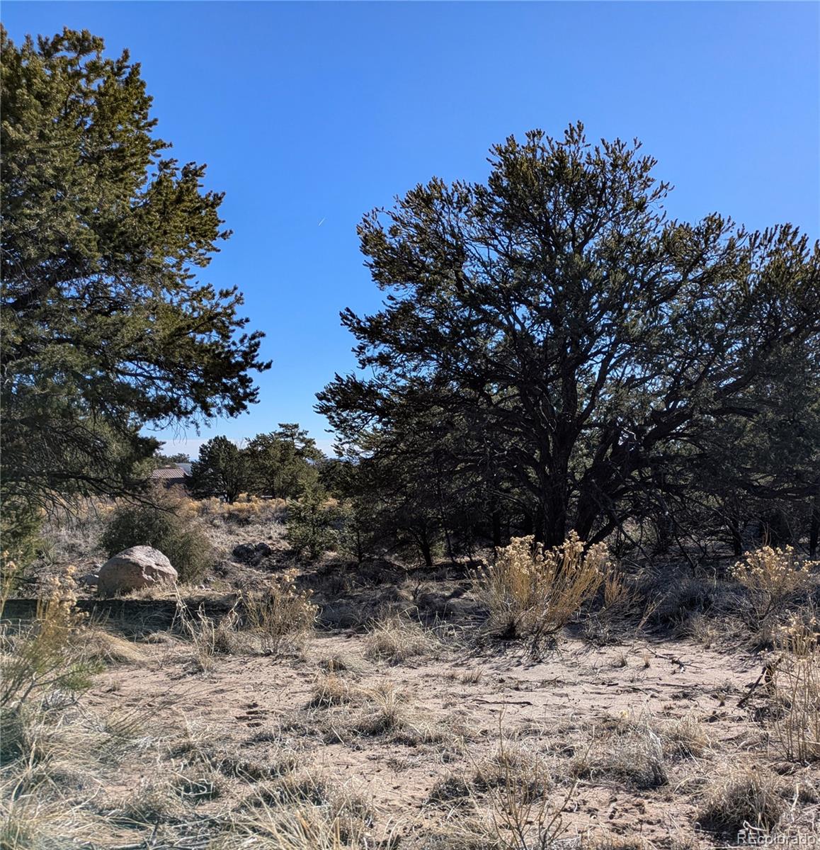 1393 Spanish Ruins Crestone CO 81131