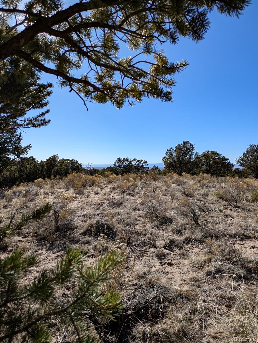1393 Spanish Ruins Crestone CO 81131