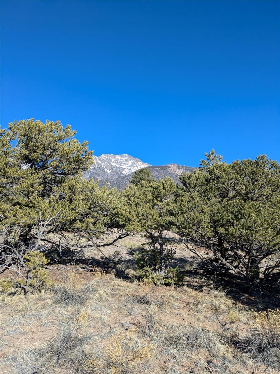 1393 Spanish Ruins Crestone CO 81131