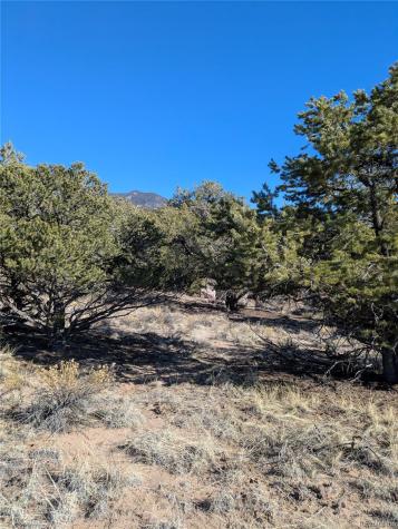 1393 Spanish Ruins Crestone CO 81131