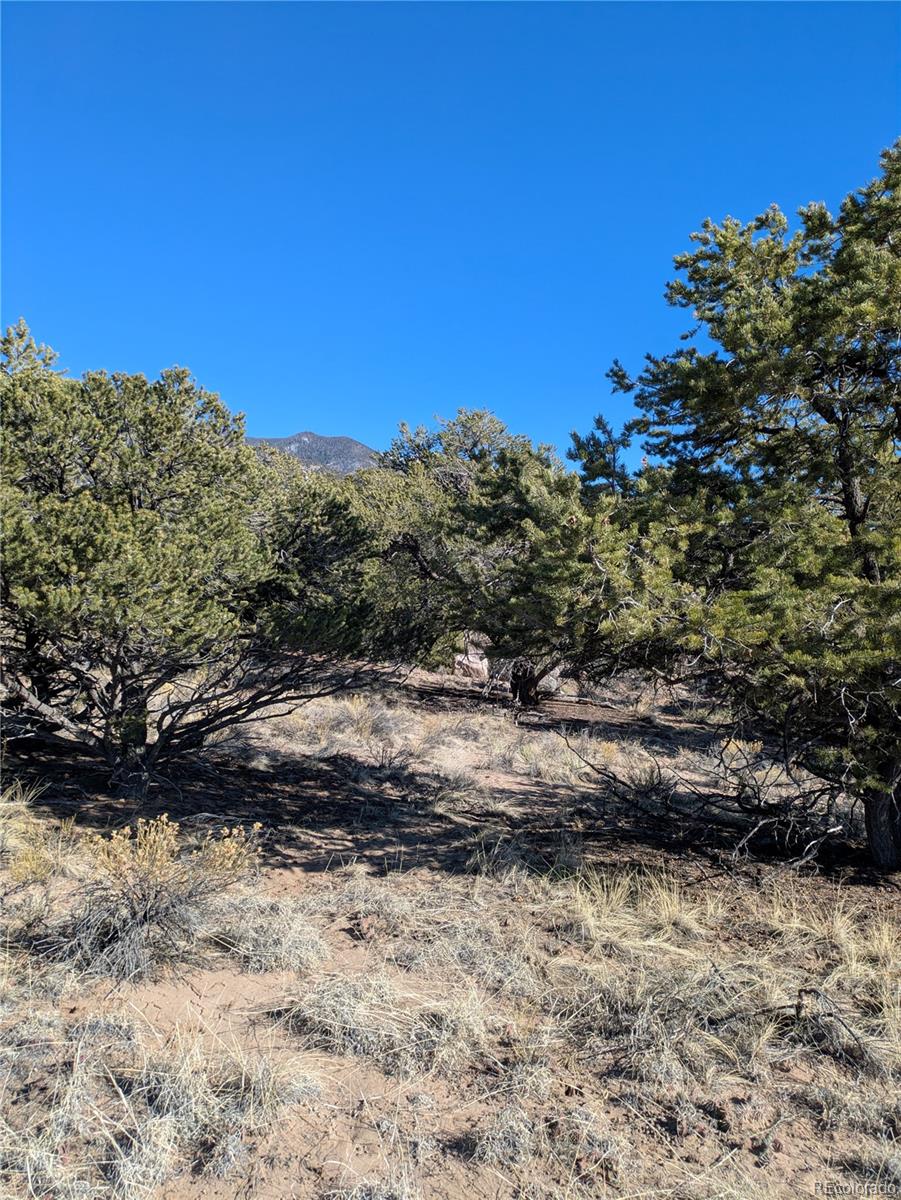 1393 Spanish Ruins Crestone CO 81131