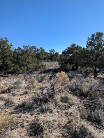 1393 Spanish Ruins Crestone CO 81131