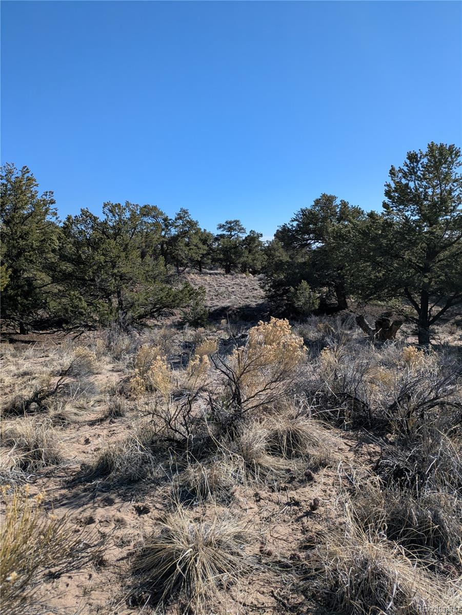 1393 Spanish Ruins Crestone CO 81131