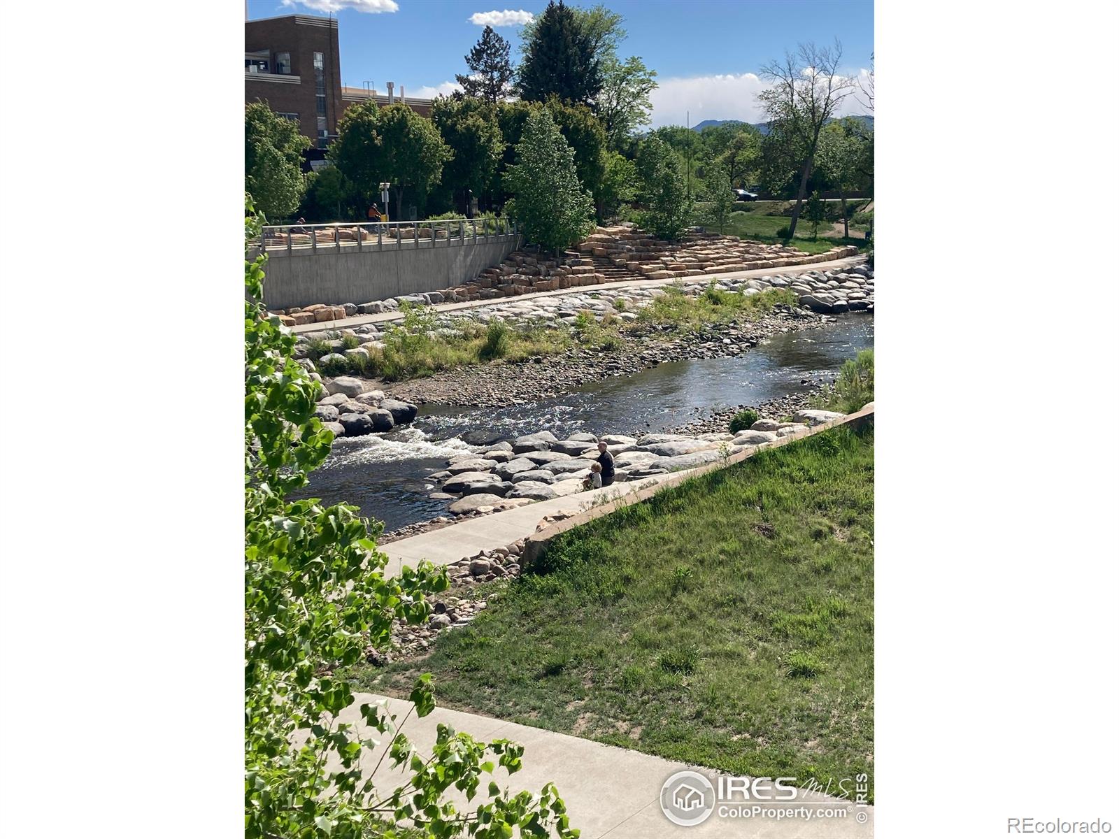232 Pascal Street Fort Collins CO 80524
