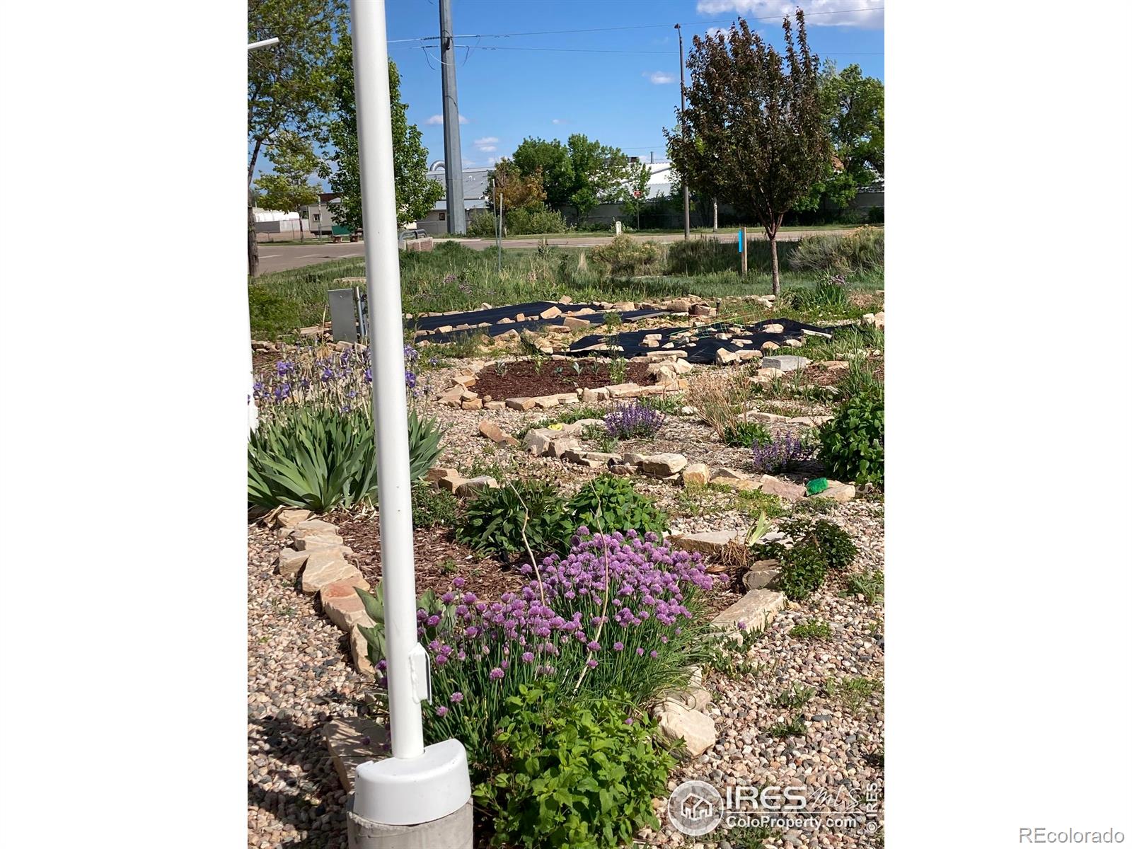232 Pascal Street Fort Collins CO 80524