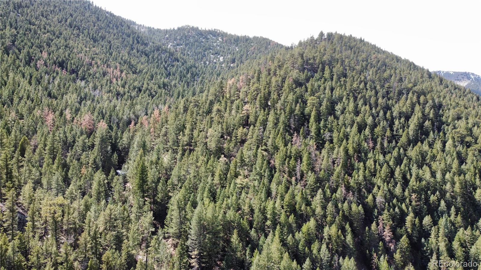 7893 Fourmile Canyon Drive Boulder CO 80302
