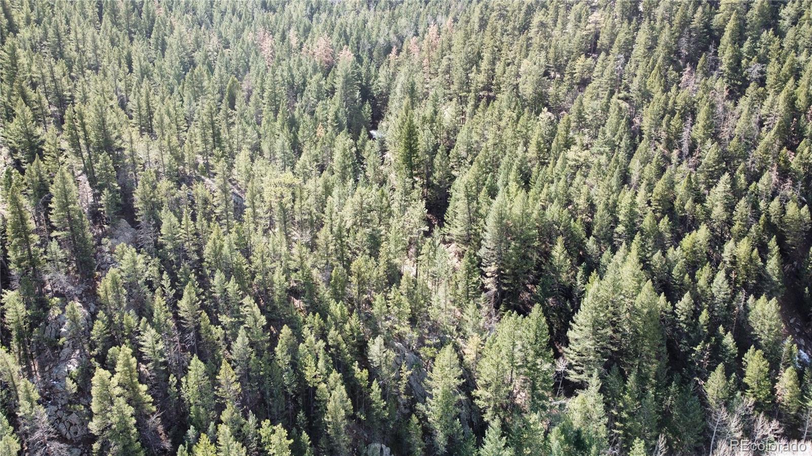 7893 Fourmile Canyon Drive Boulder CO 80302