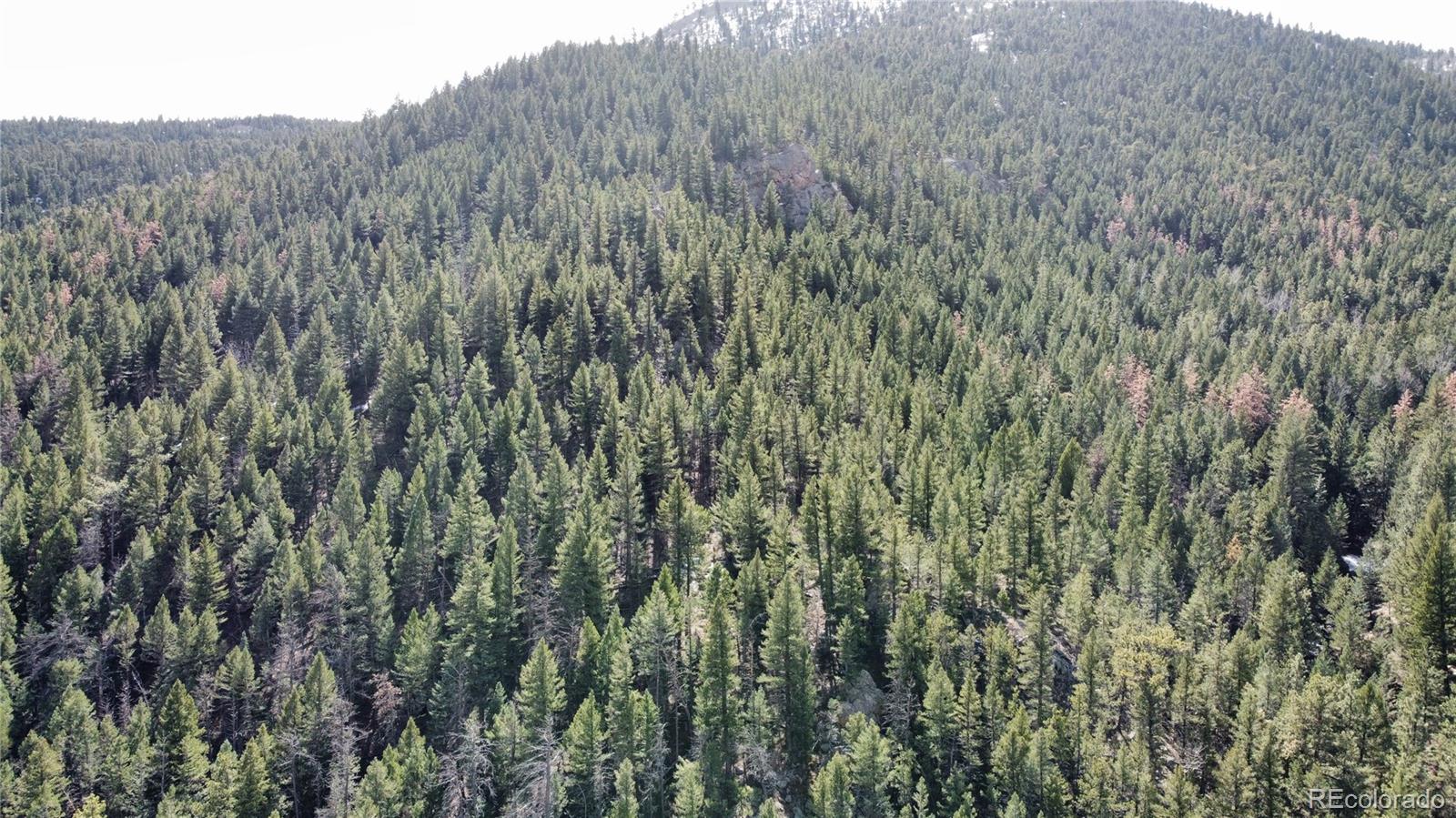 7893 Fourmile Canyon Drive Boulder CO 80302