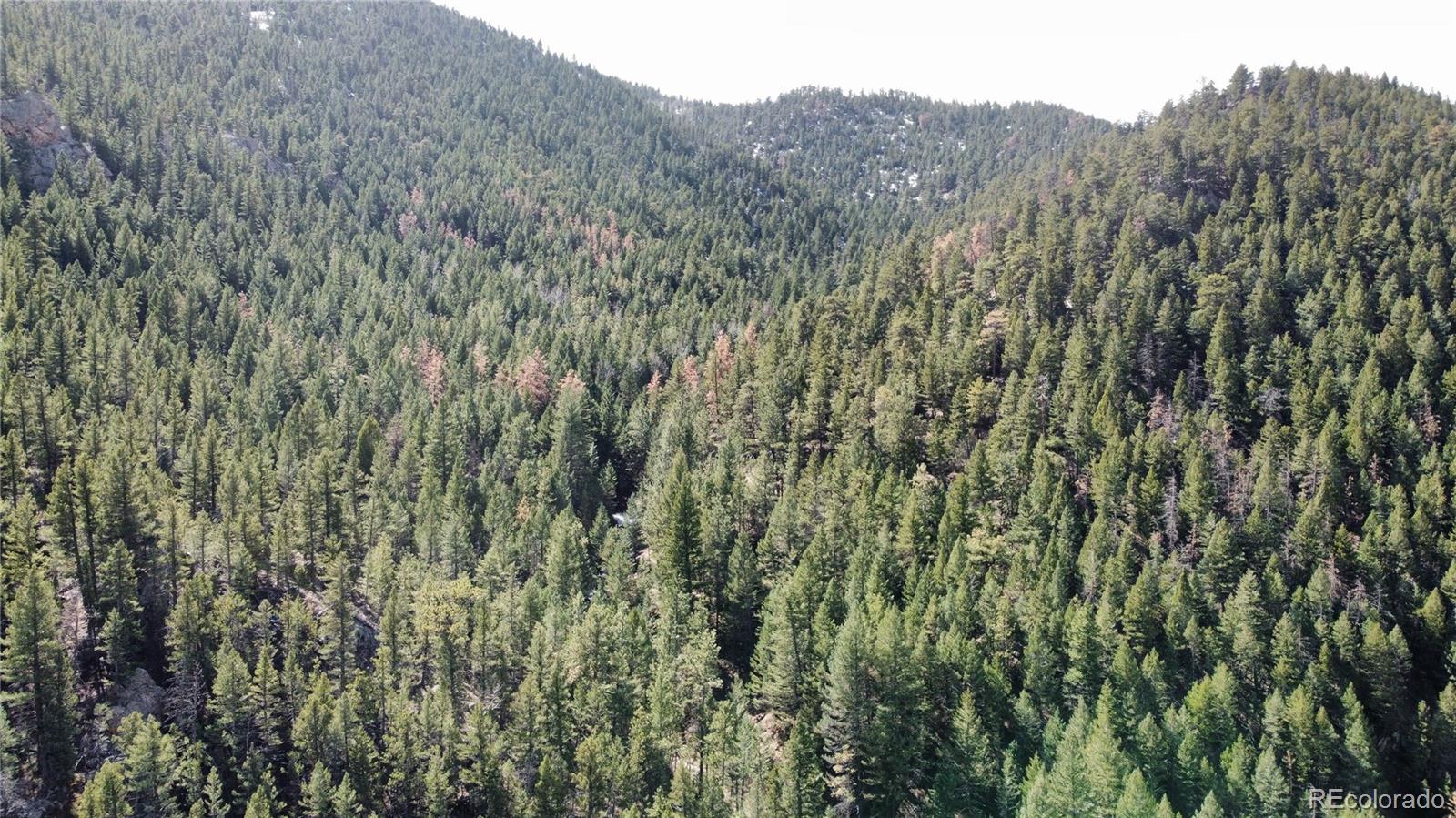 7893 Fourmile Canyon Drive Boulder CO 80302
