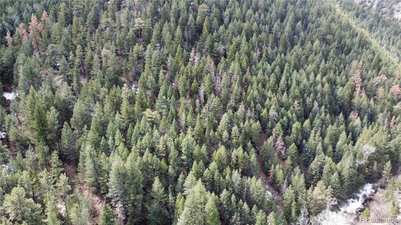 7893 Fourmile Canyon Drive Boulder CO 80302