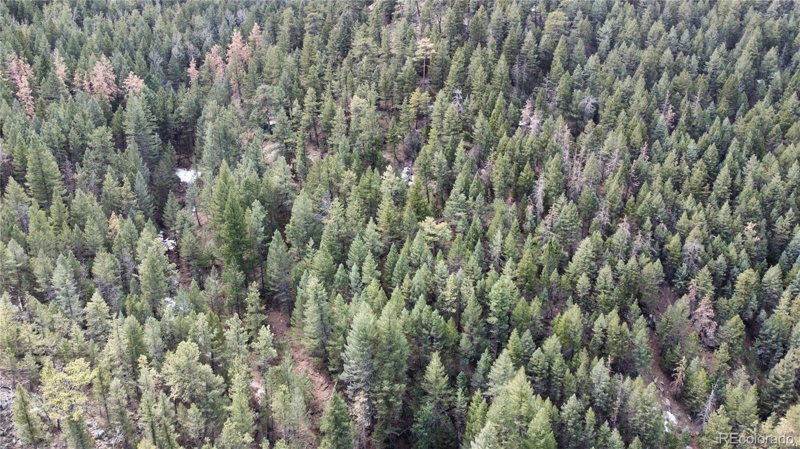 7893 Fourmile Canyon Drive Boulder CO 80302