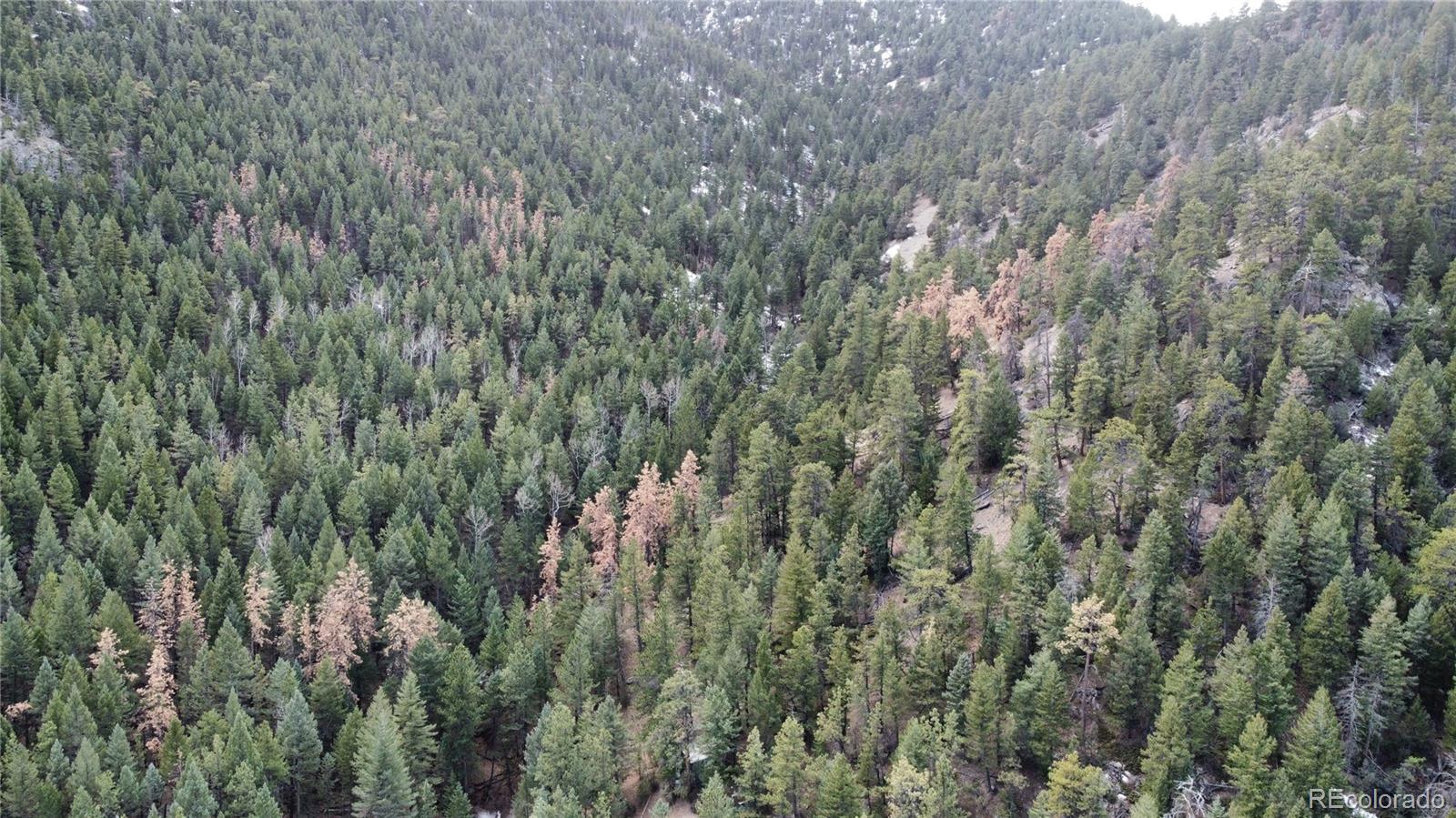 7893 Fourmile Canyon Drive Boulder CO 80302