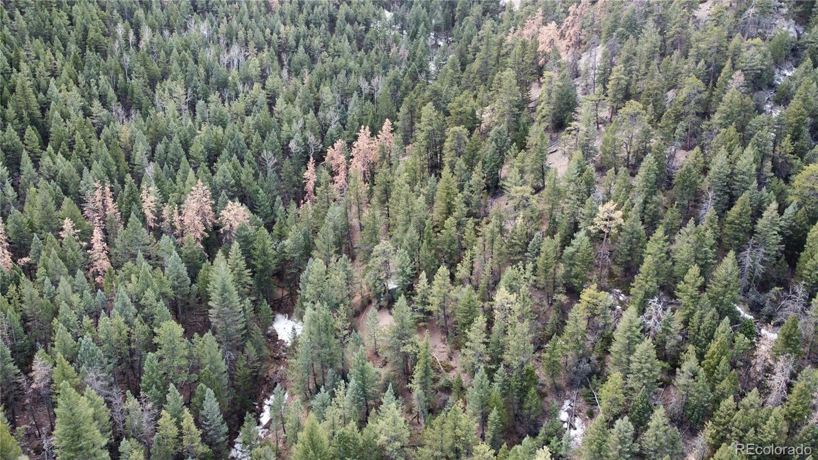 7893 Fourmile Canyon Drive Boulder CO 80302