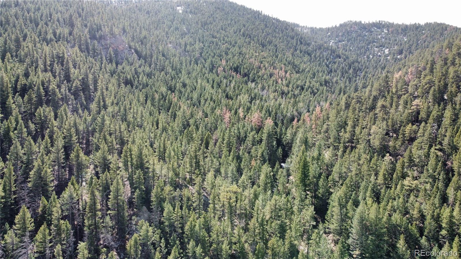 7893 Fourmile Canyon Drive Boulder CO 80302