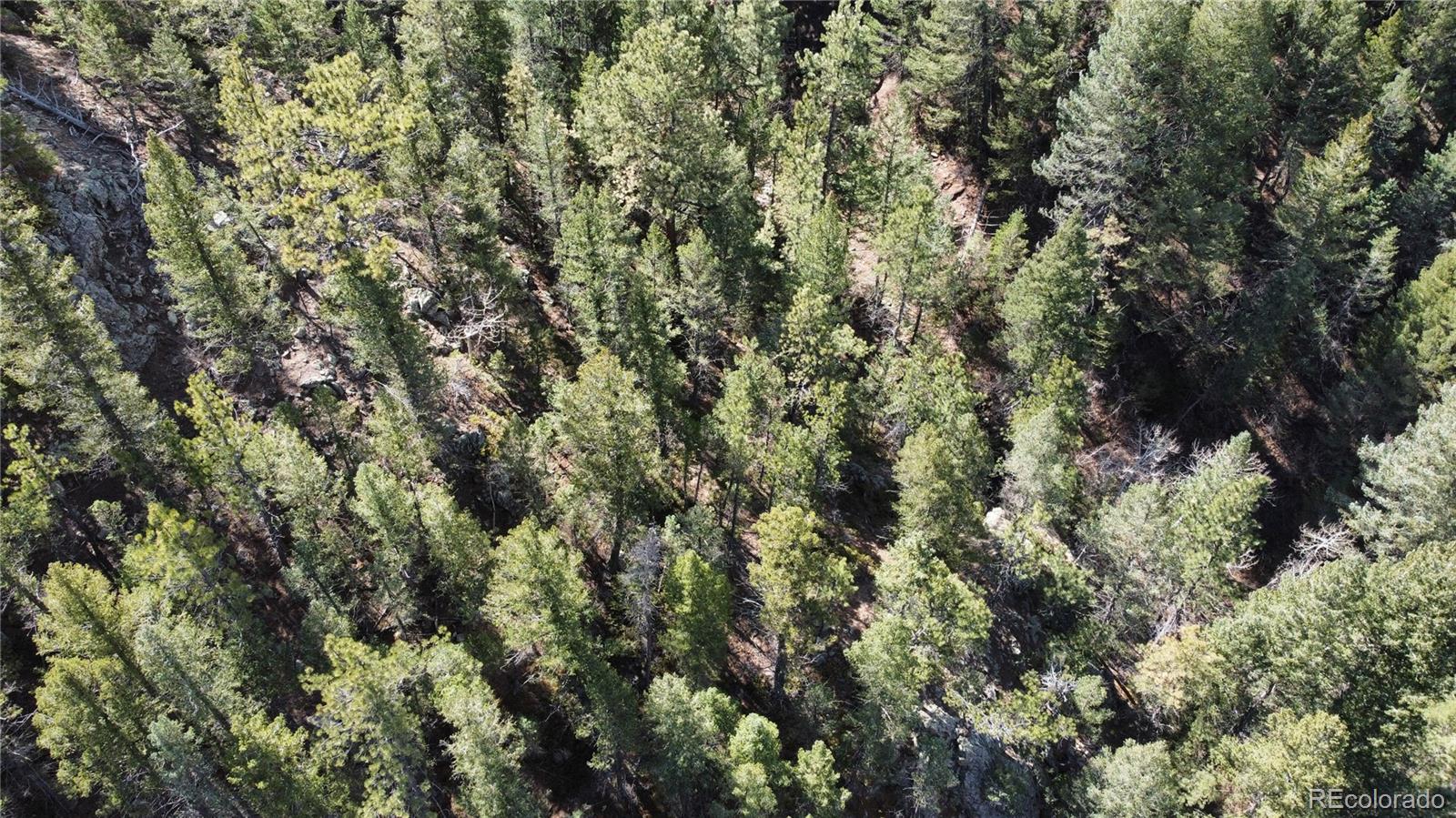 7893 Fourmile Canyon Drive Boulder CO 80302