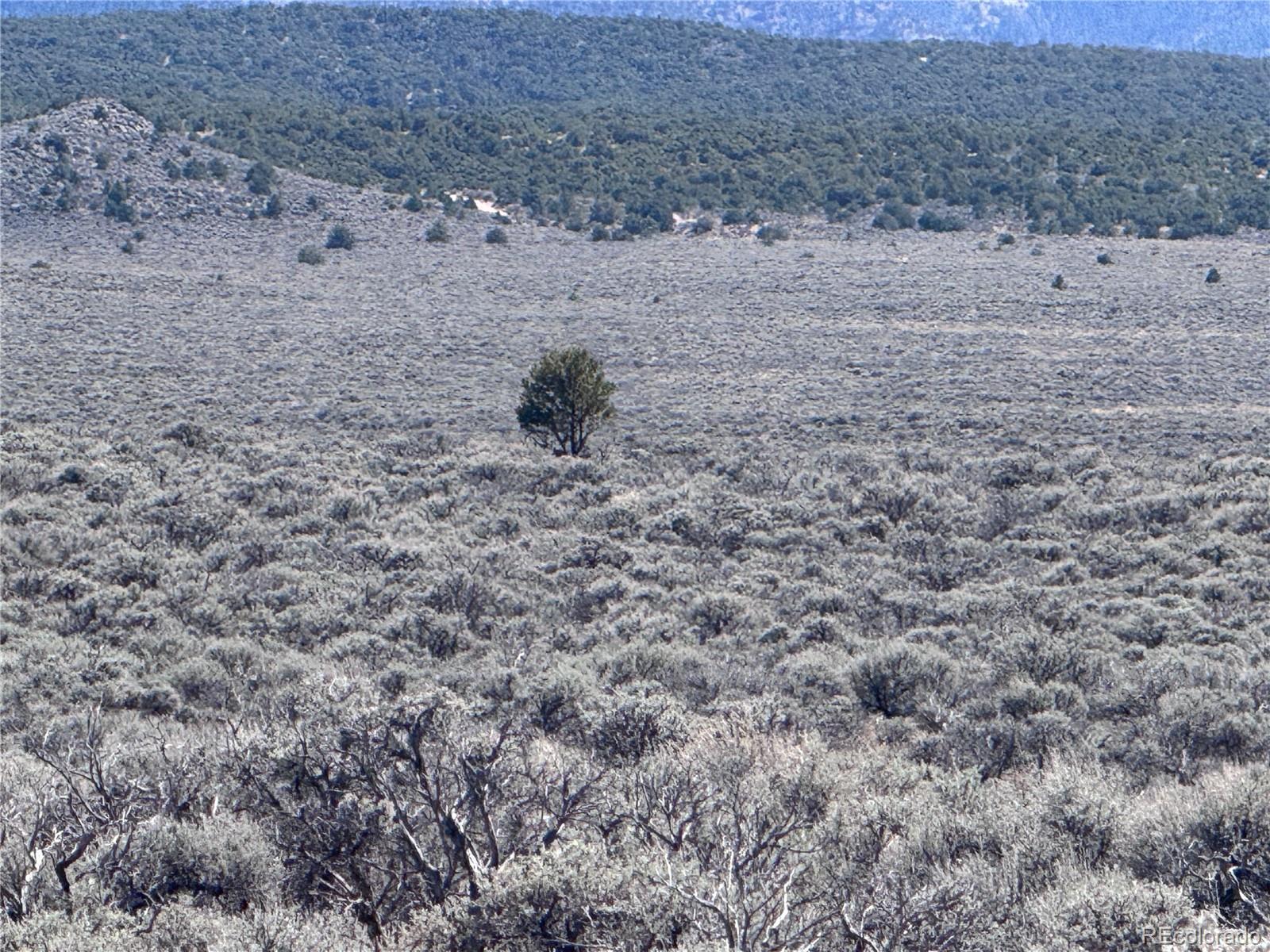 N 90 County Road 19.5 Fort Garland CO 81133