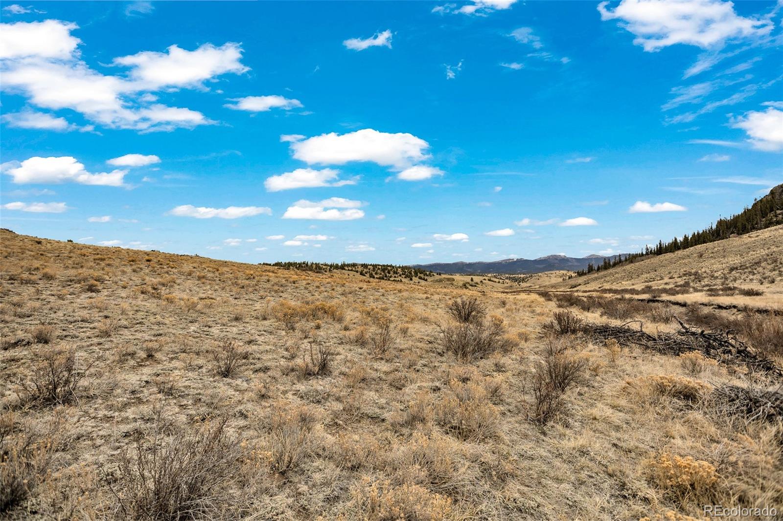 1950 Travois Road Como CO 80432