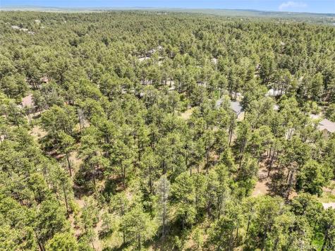 1180 Lone Scout Lookout Monument CO 80132