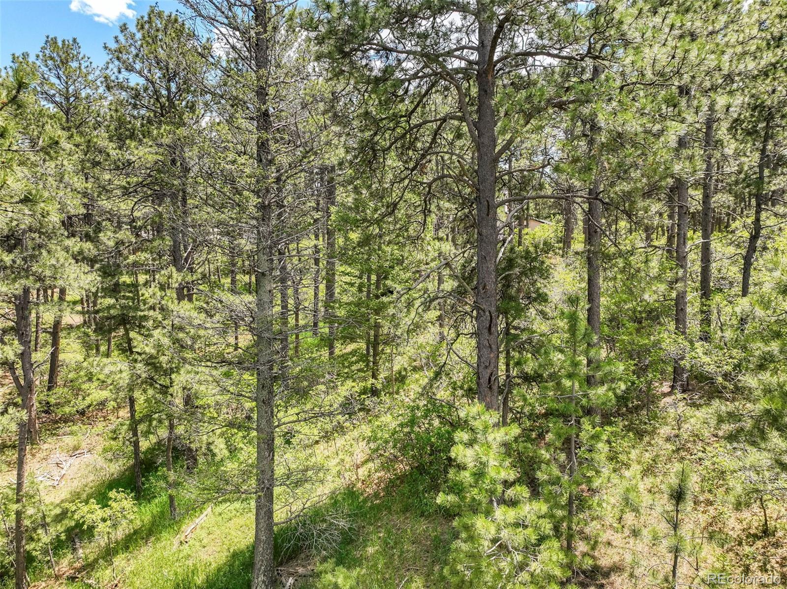 1180 Lone Scout Lookout Monument CO 80132