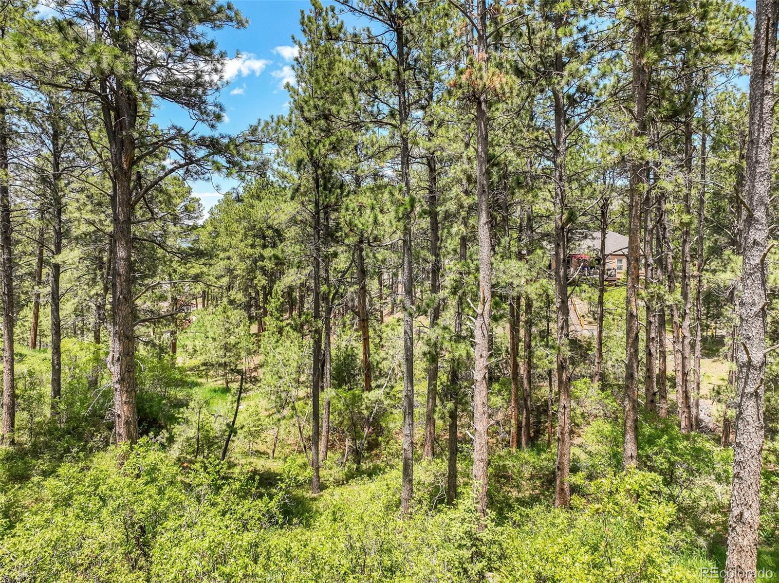 1180 Lone Scout Lookout Monument CO 80132