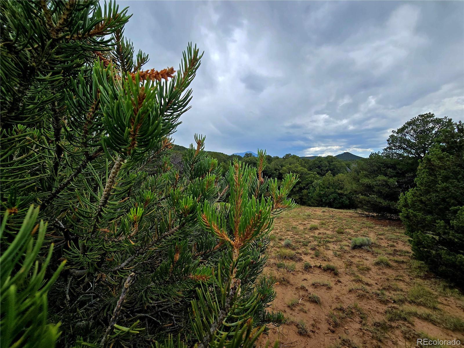 Lot 97 Phase #4 River Ridge Ranch Walsenburg CO 81089