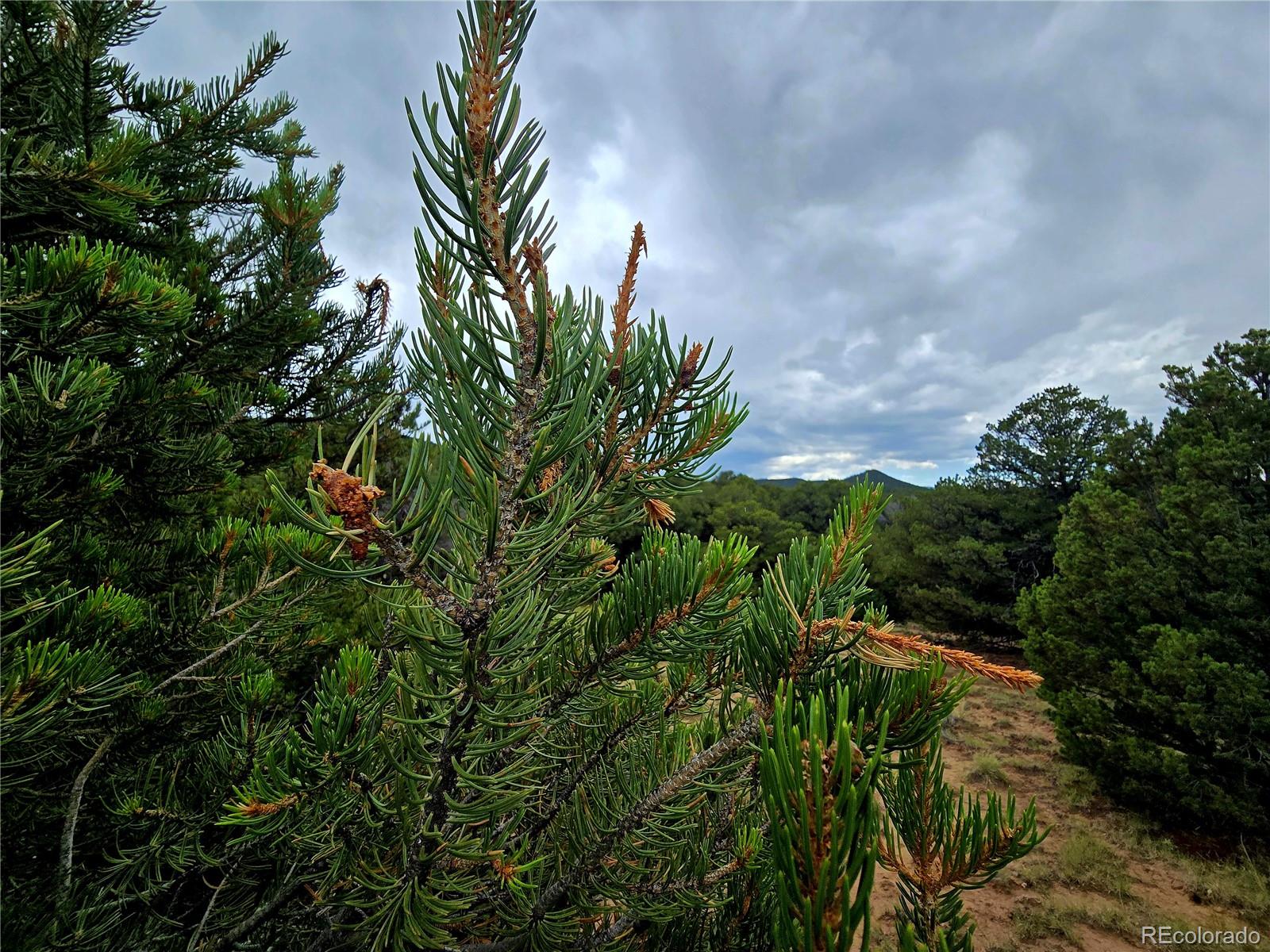 Lot 97 Phase #4 River Ridge Ranch Walsenburg CO 81089