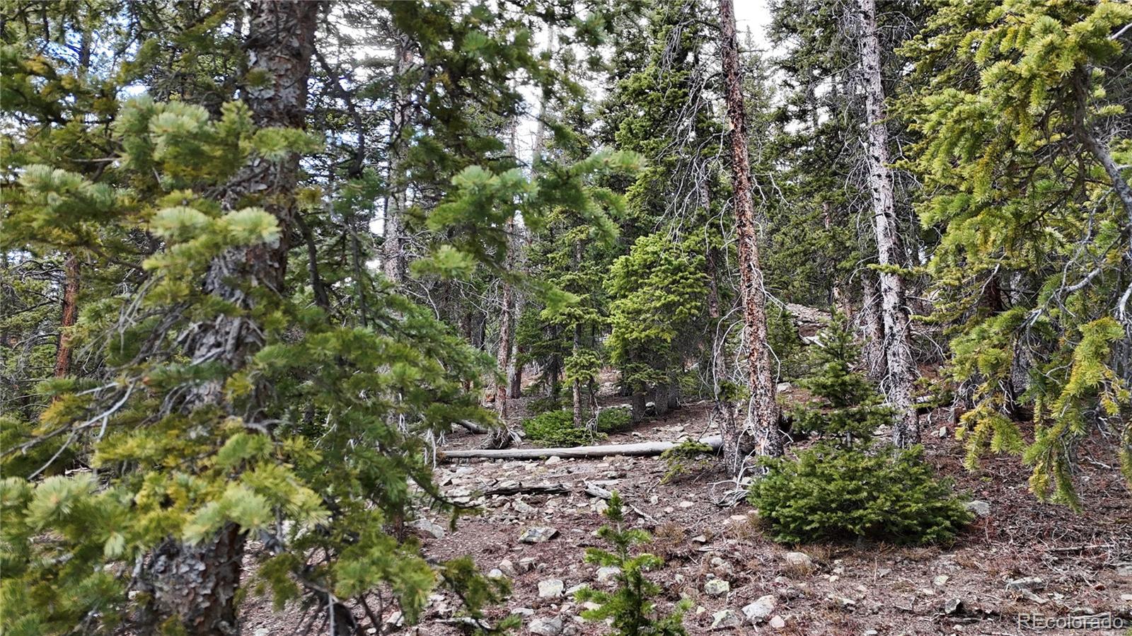 331 Kimmes Lane Breckenridge CO 80424