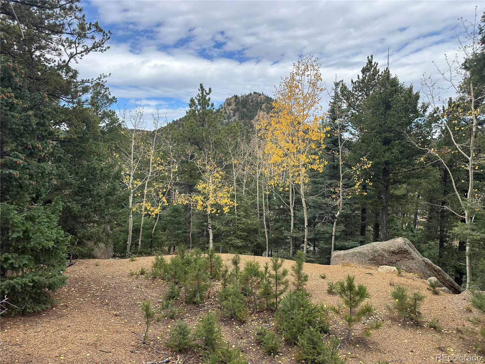 316 Summit Ridge Manitou Springs CO 80829