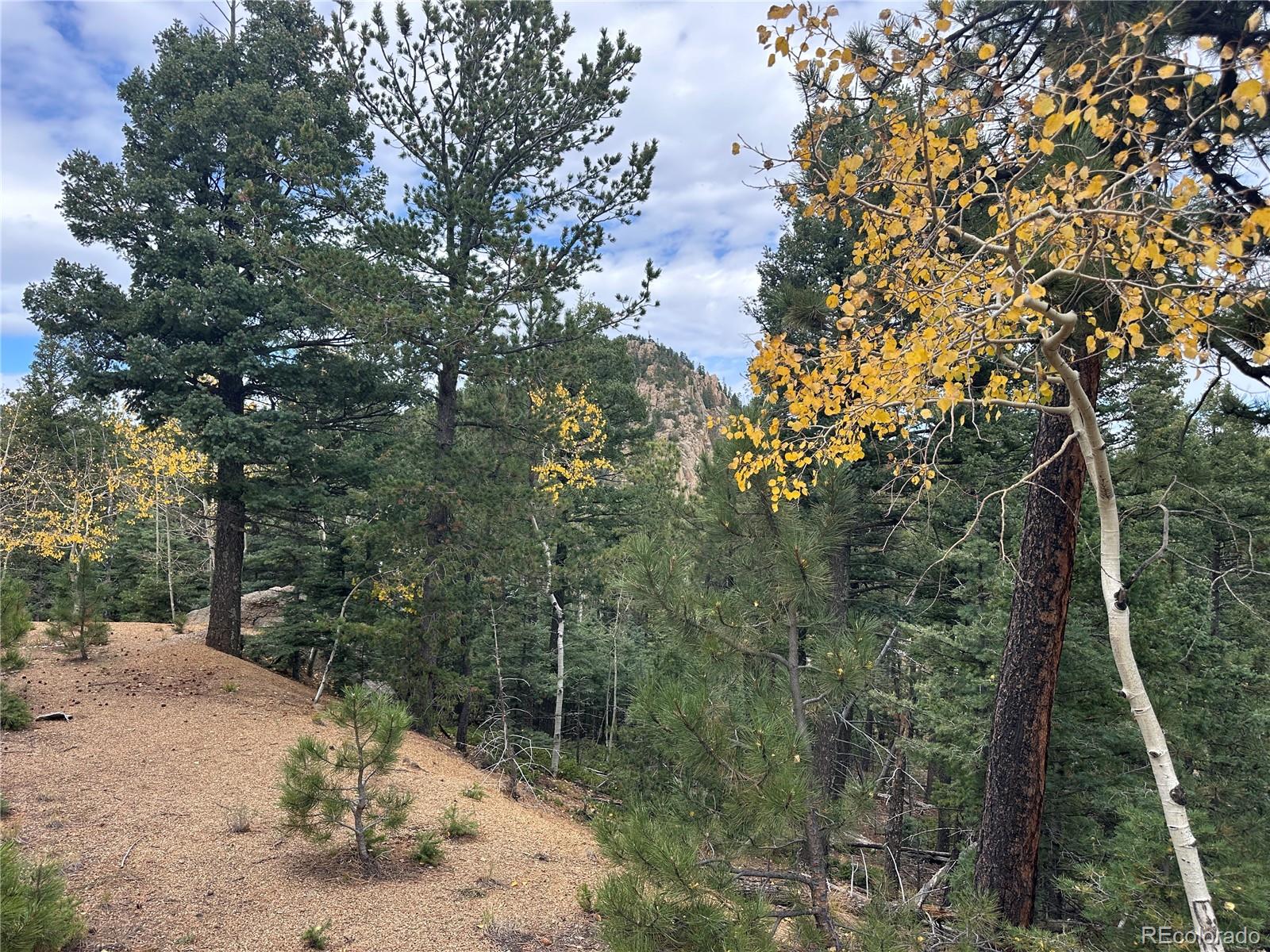 316 Summit Ridge Manitou Springs CO 80829