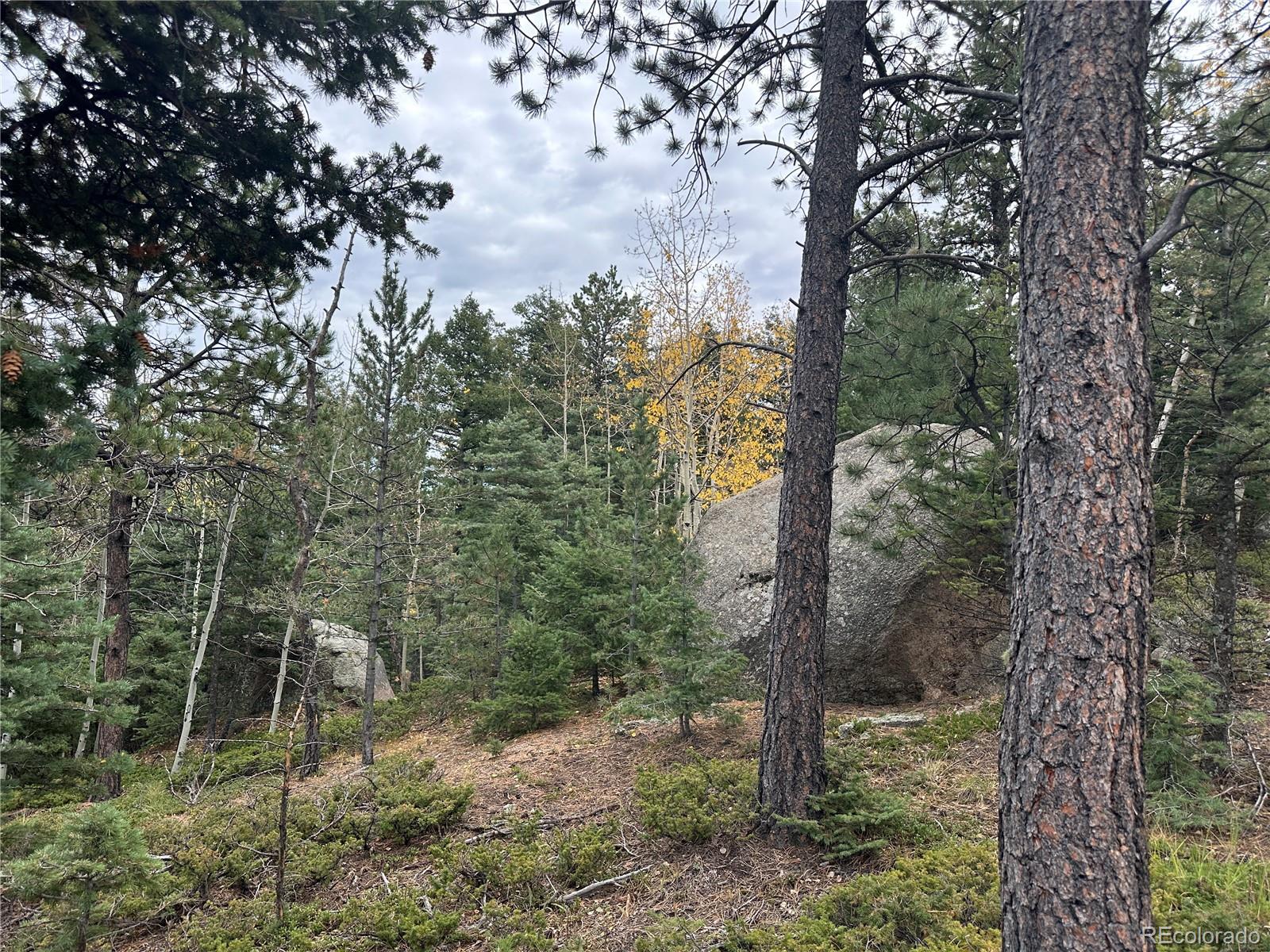316 Summit Ridge Manitou Springs CO 80829