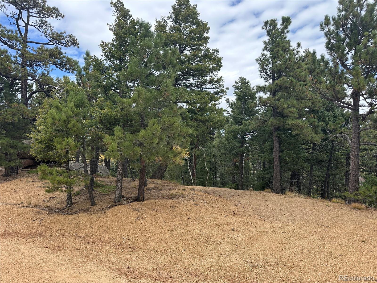 316 Summit Ridge Manitou Springs CO 80829