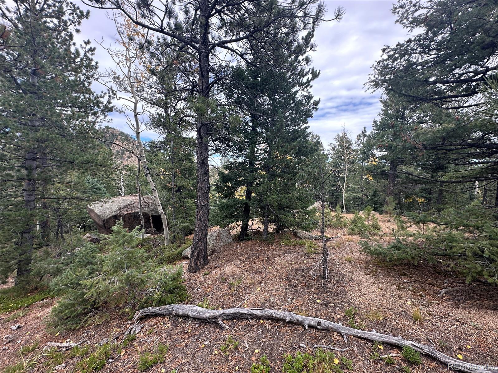 316 Summit Ridge Manitou Springs CO 80829