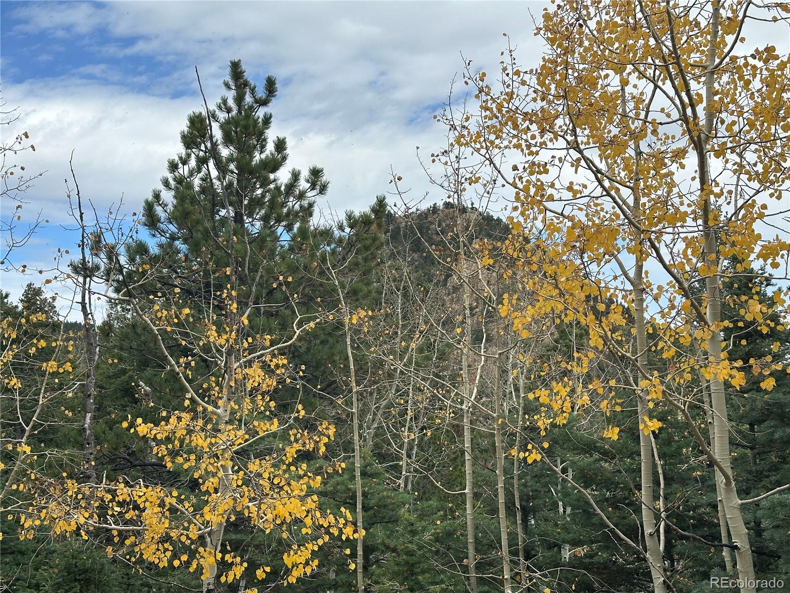 316 Summit Ridge Manitou Springs CO 80829