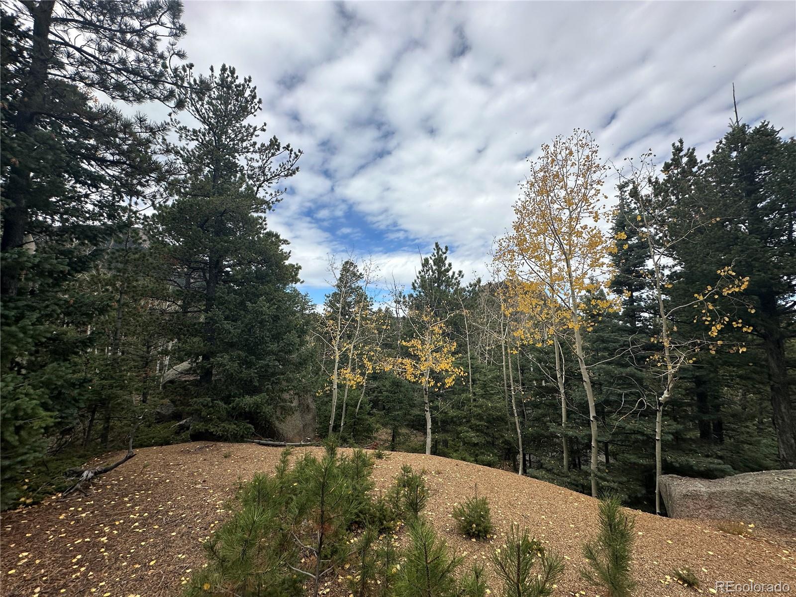 316 Summit Ridge Manitou Springs CO 80829