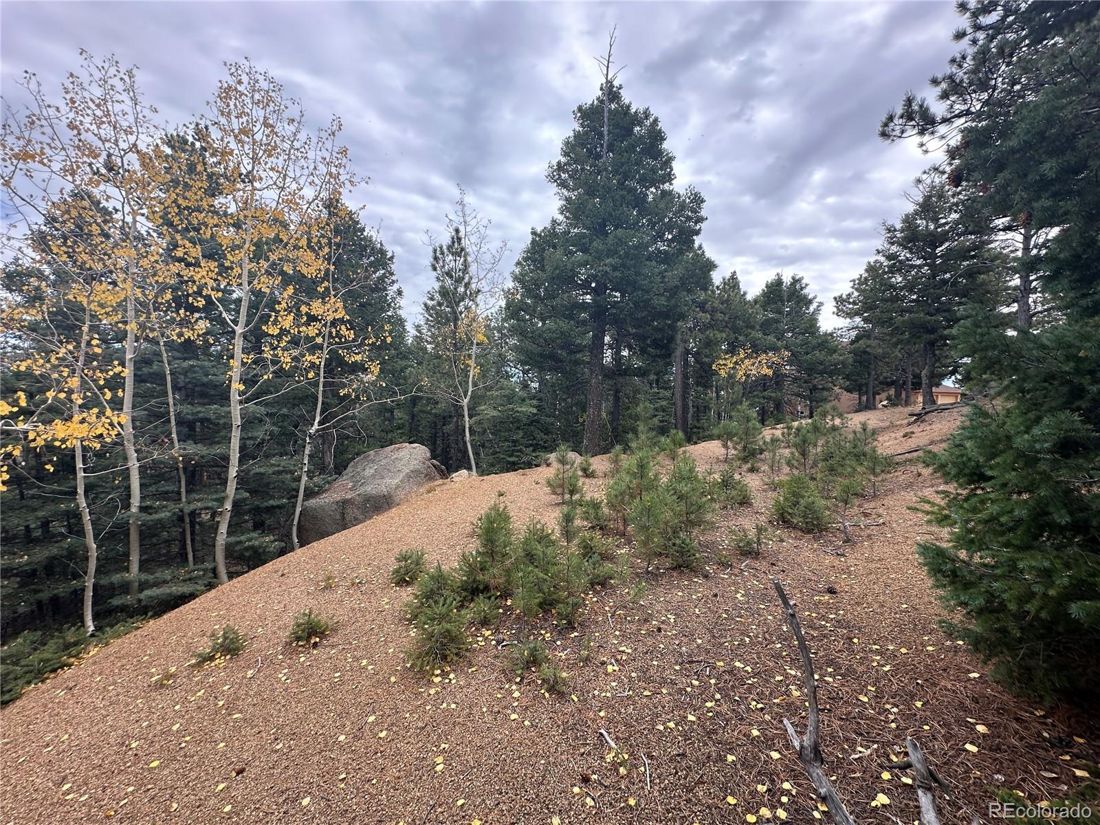 316 Summit Ridge Manitou Springs CO 80829