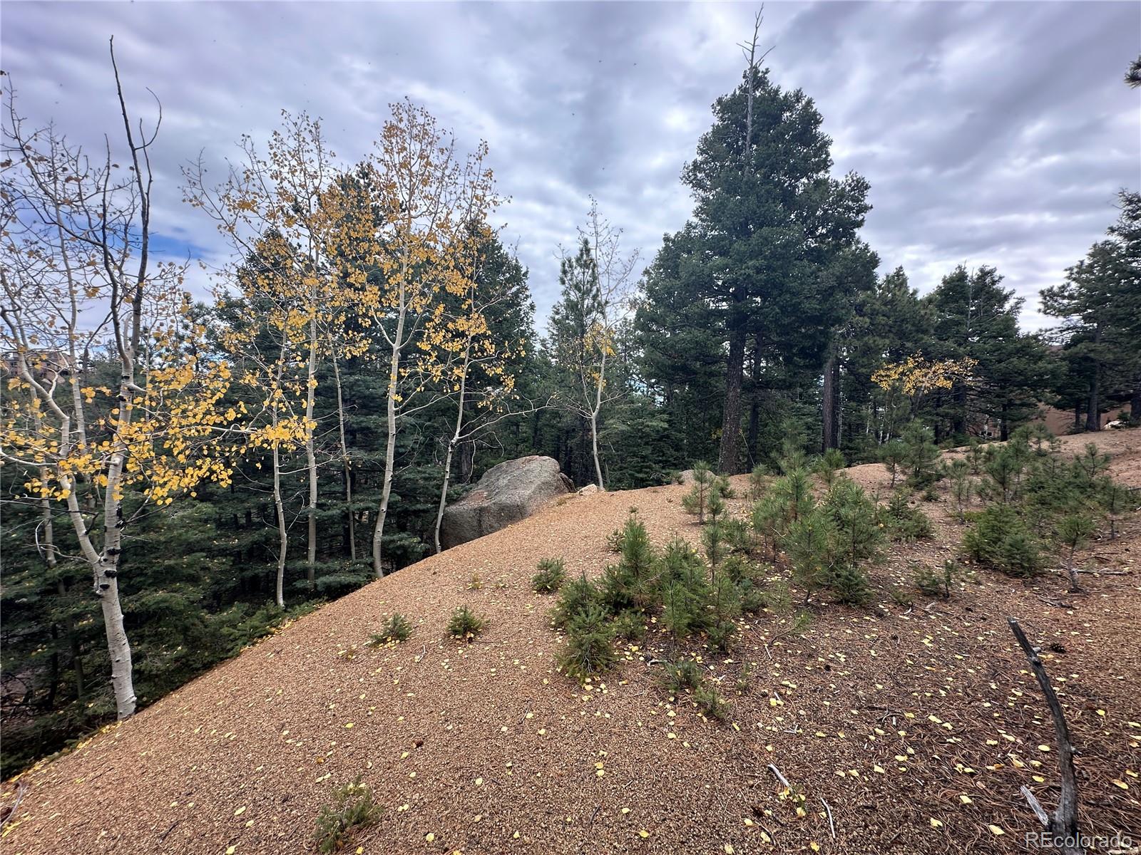 316 Summit Ridge Manitou Springs CO 80829