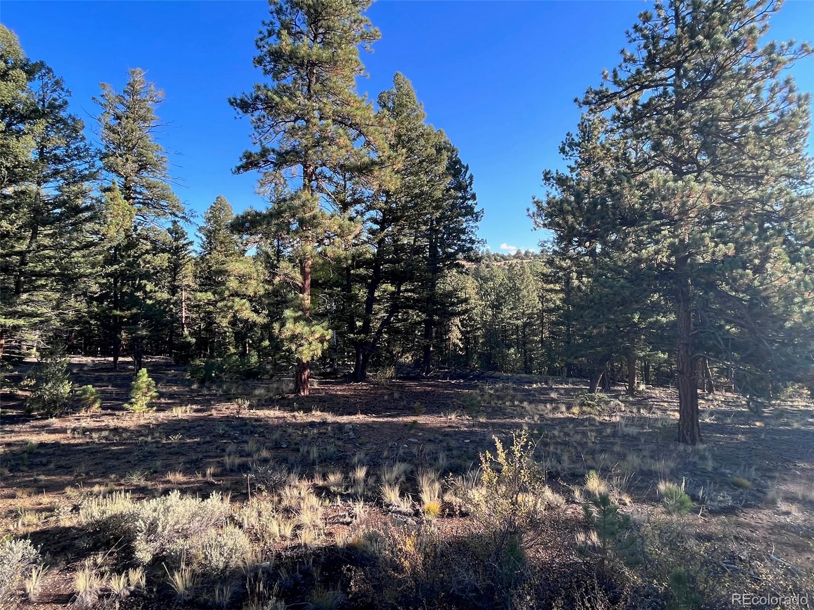 14759 Quartz Circle Salida CO 81201