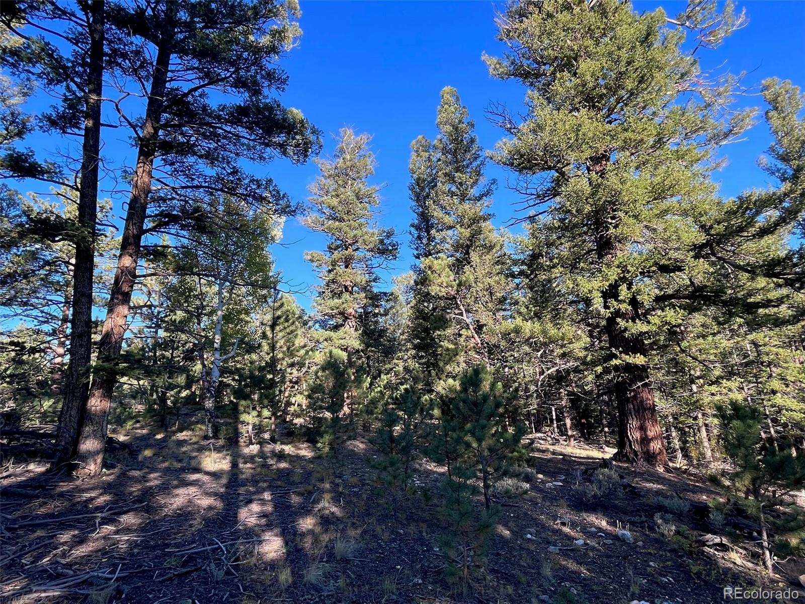 14759 Quartz Circle Salida CO 81201