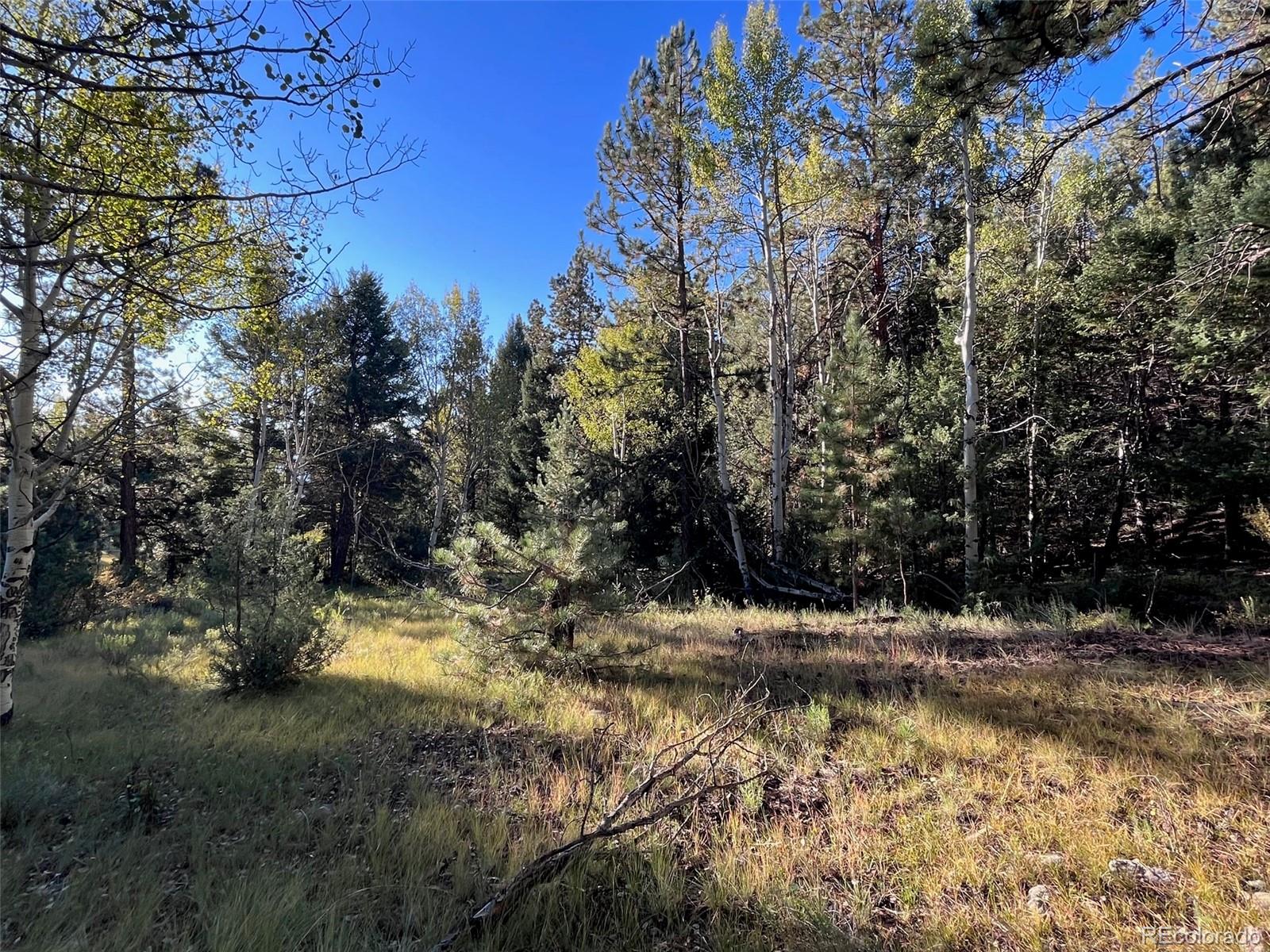 14759 Quartz Circle Salida CO 81201