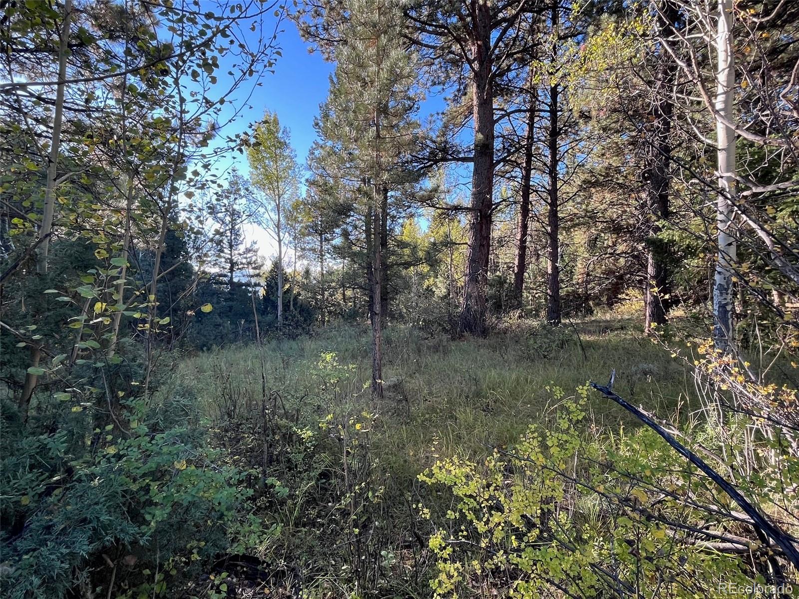 14759 Quartz Circle Salida CO 81201