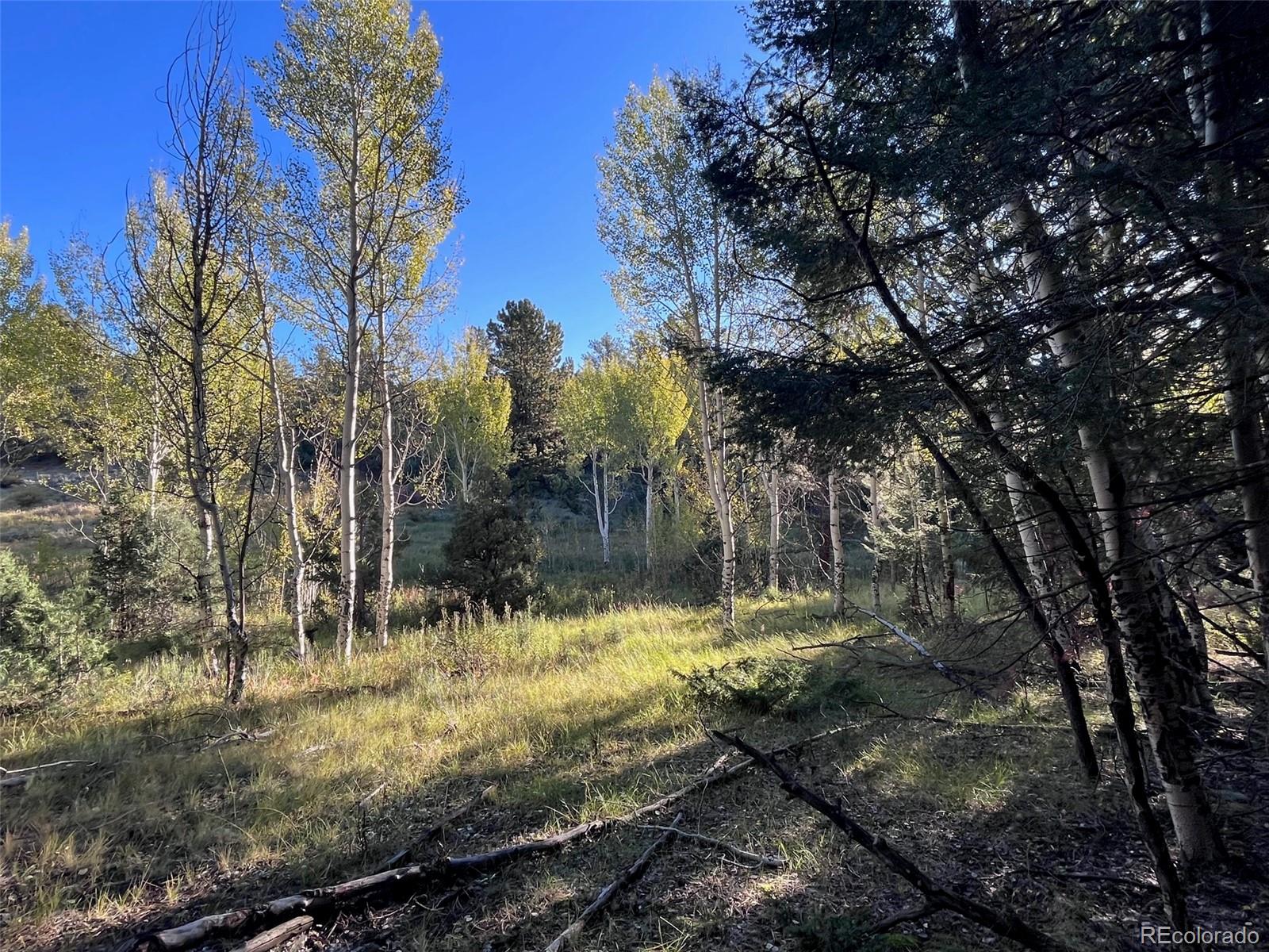 14759 Quartz Circle Salida CO 81201