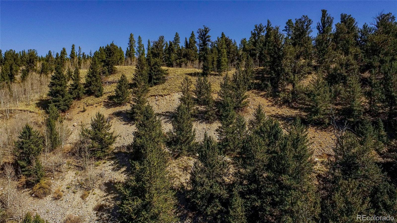 459 Platte River Drive Fairplay CO 80440