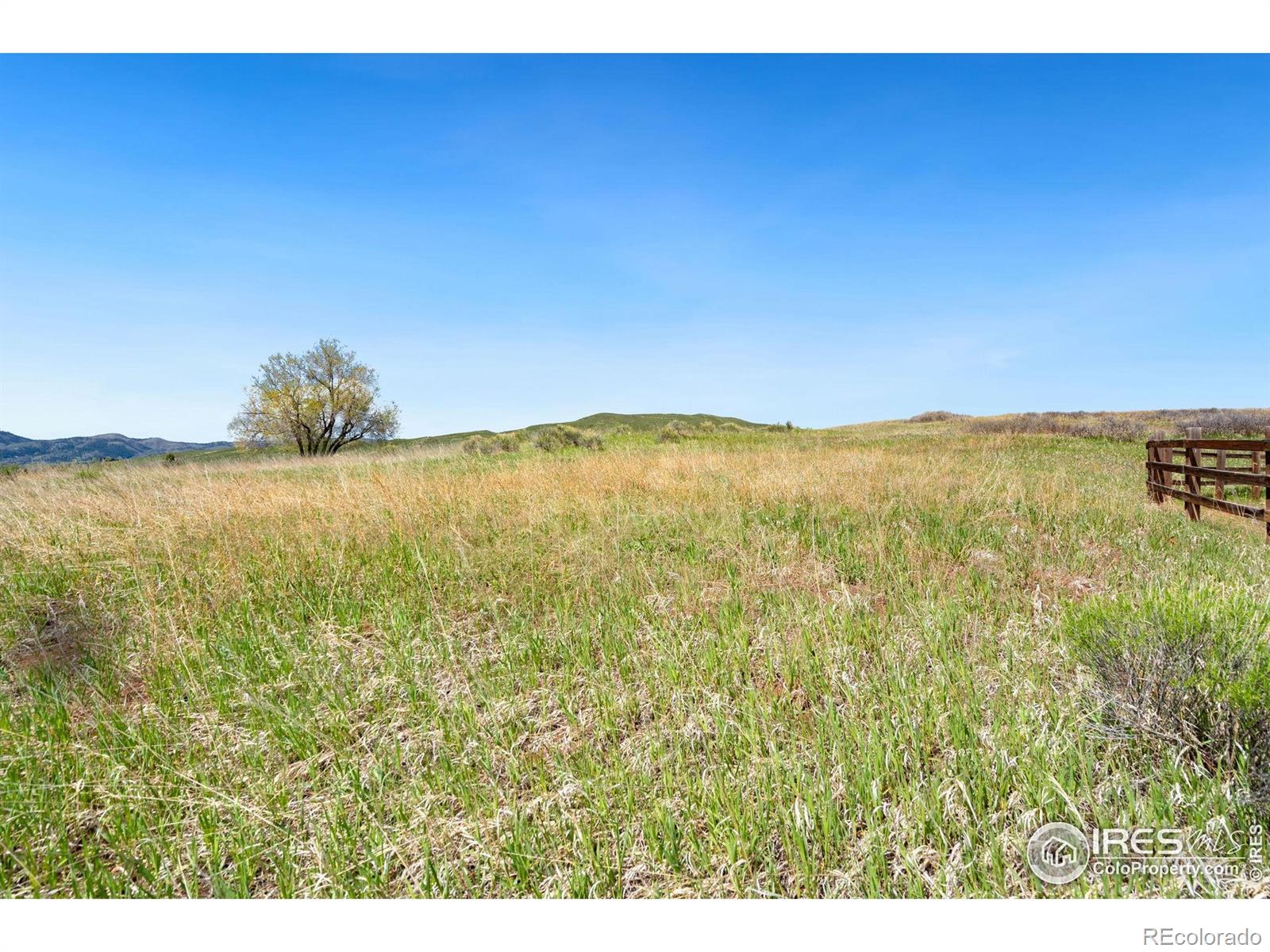 4442 Del Colina Way Laporte CO 80535